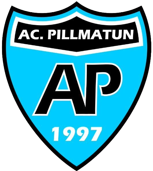 Escudo Academia Pillmatún